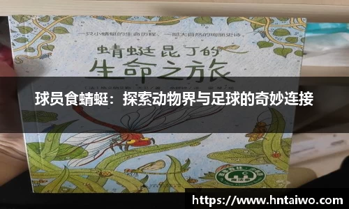 球员食蜻蜓：探索动物界与足球的奇妙连接